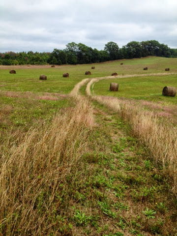 Ice Age Trail unspooling downhill in farm field dotted with hay bales near Chaffee Creek.