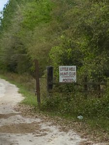 Sign saying "Little Hell Hunt Club Posted" on Florida Trail to Lake Butler.