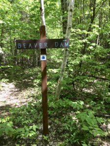 Sign pointing toward a beaver dam on the North Country Trail.