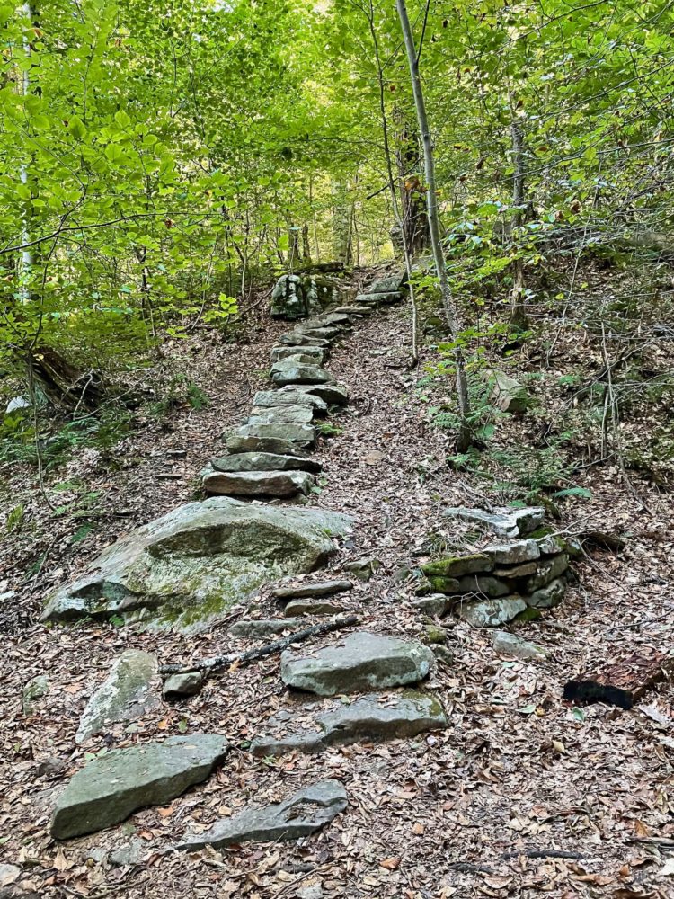 Rocky hiking trail PHT
