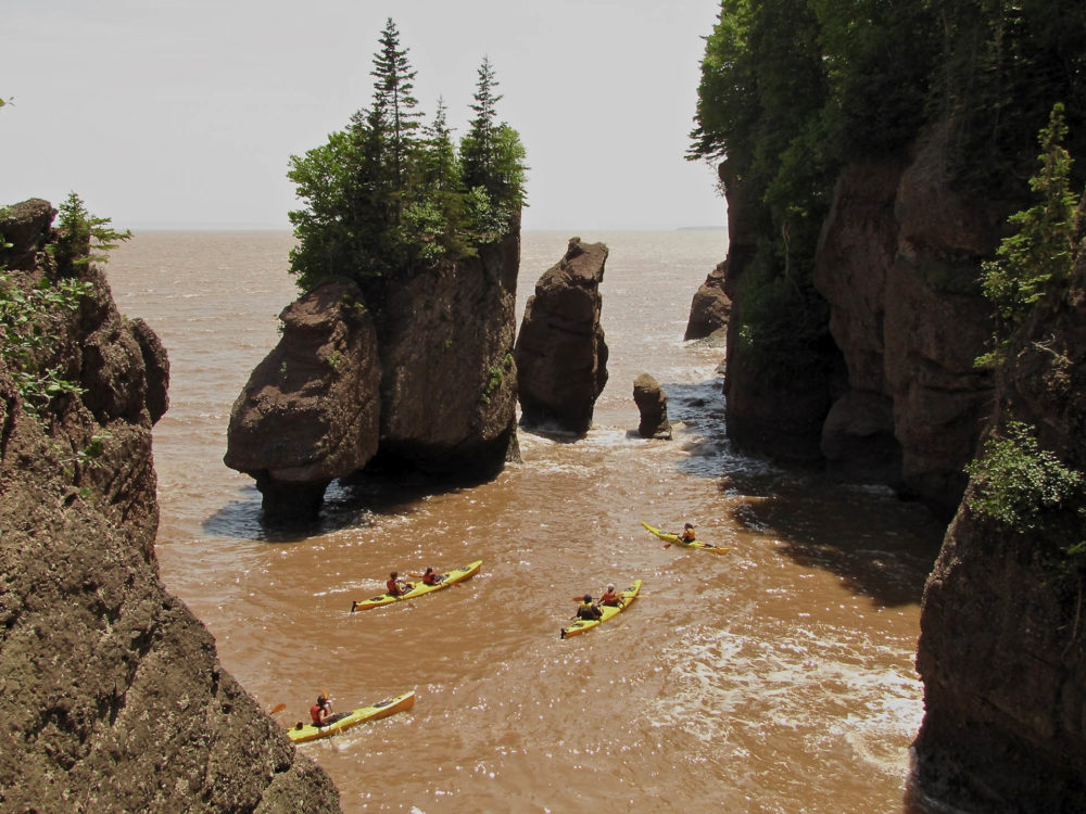 People in yellow kayaks padding around sculpted rock formations in the Bay of Fundy.