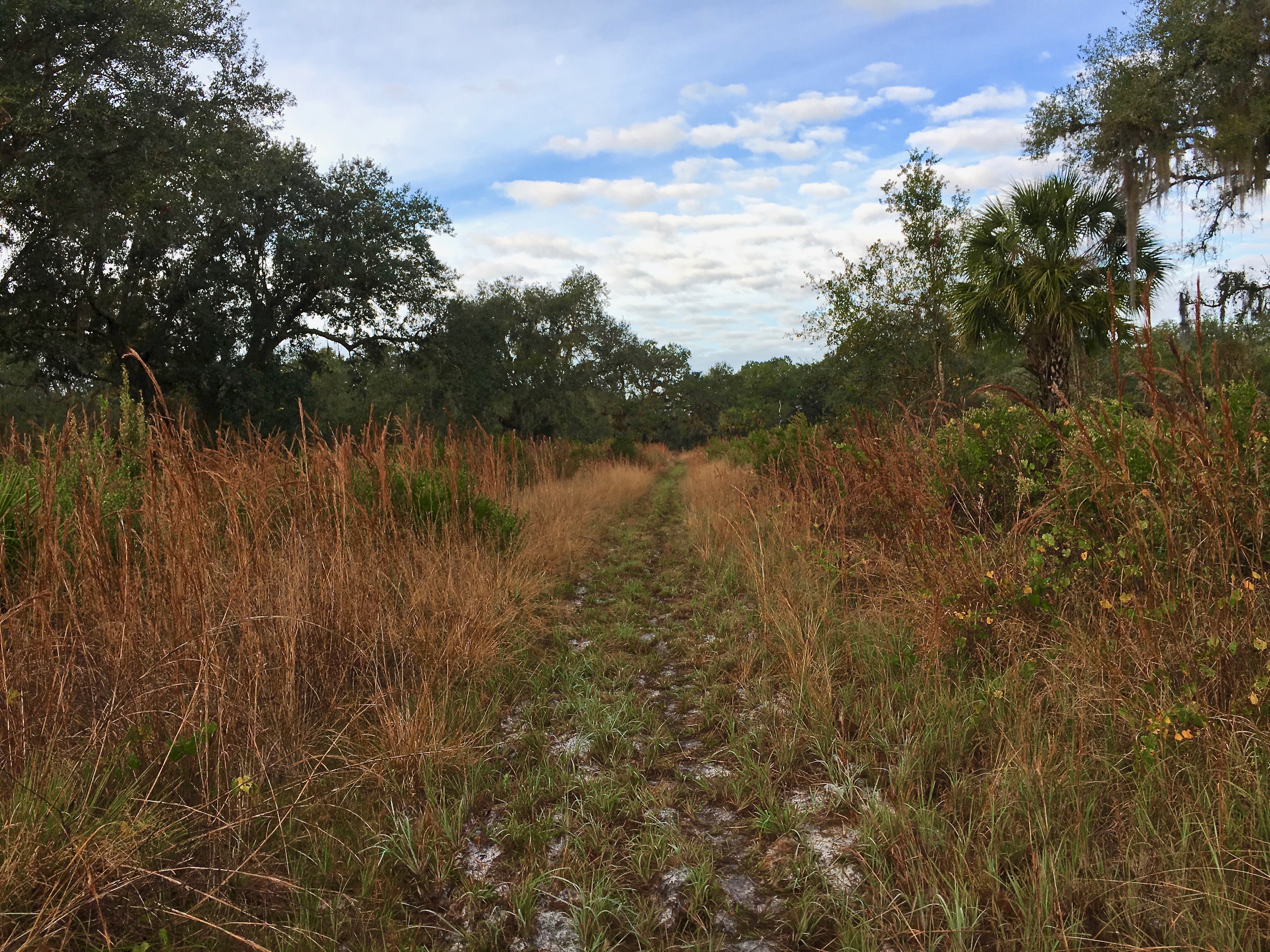 Florida National Scenic Trail 12