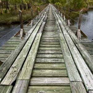 Florida National Scenic Trail 25
