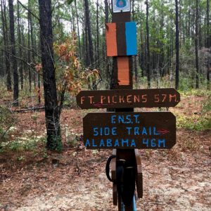 Florida National Scenic Trail 39