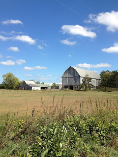 Farm field with gray barn in the distance under a blue sky with puffy clouds on the Ice Age Trail near New Hope.