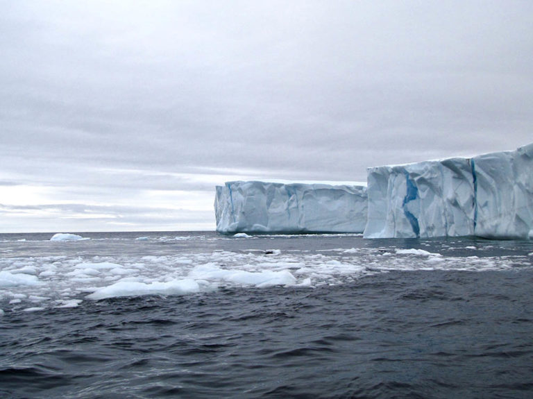 iceberg alley newfoundland 2021