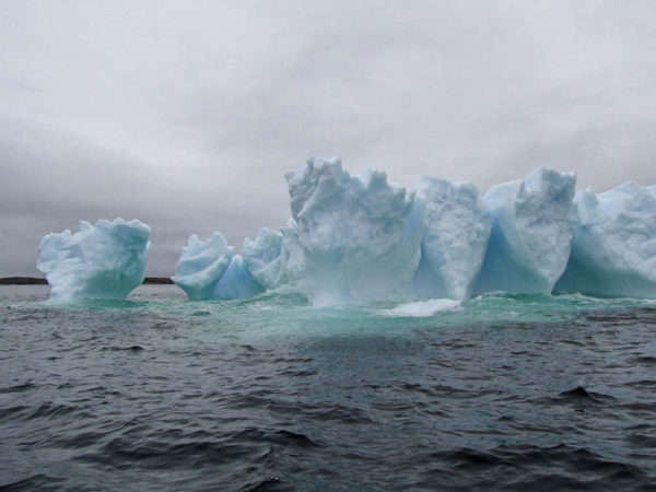 iceberg alley newfoundland