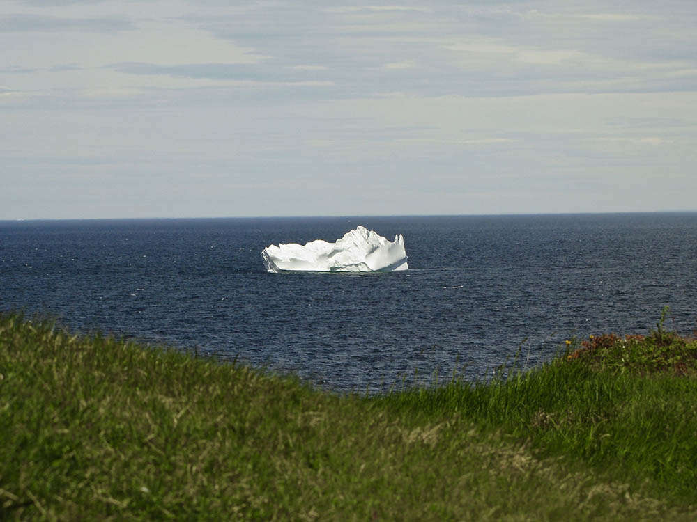 View of a large iceberg floating in ocean with grassy shore in foreground.