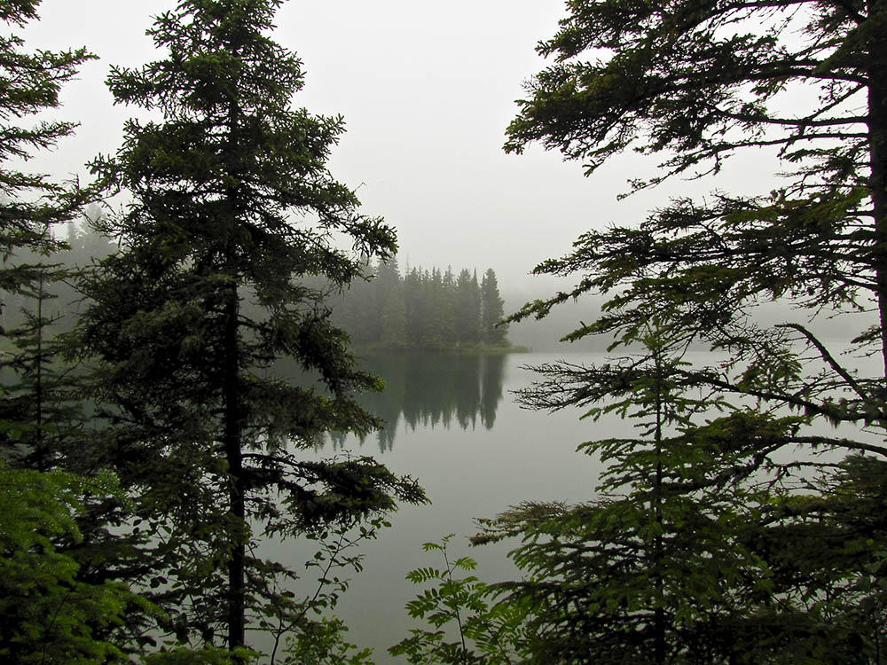 View of lake on a foggy day with pine trees in front.