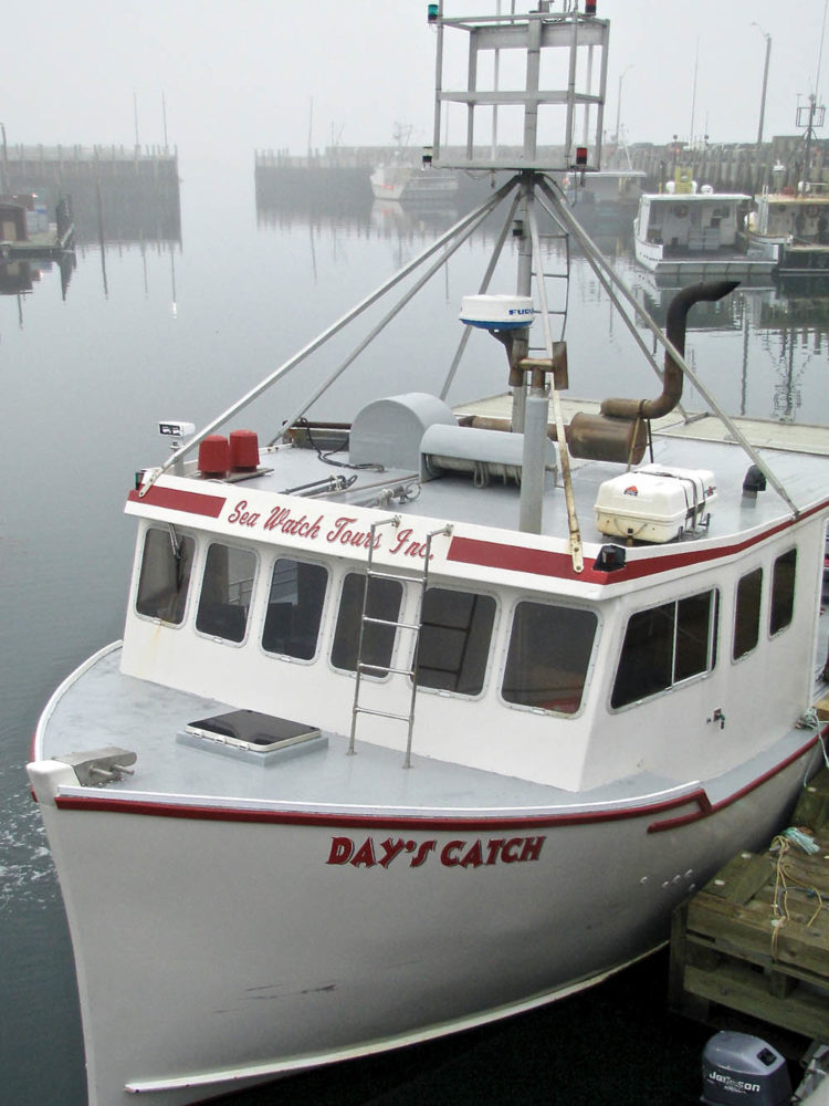 White boat with red trim docked and awaiting passengers to Machias Seal Island.