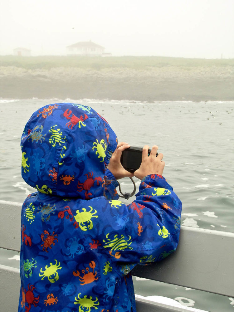Child in blue coat with hood pulled up taking pictures of a fogged-in Machias Seal Island.