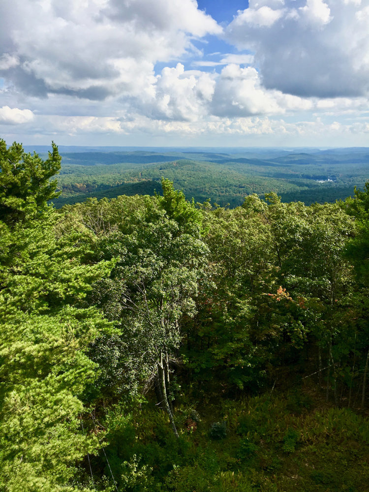 View from the top of a fire tower of the area around Mt. Grace State Forest.
