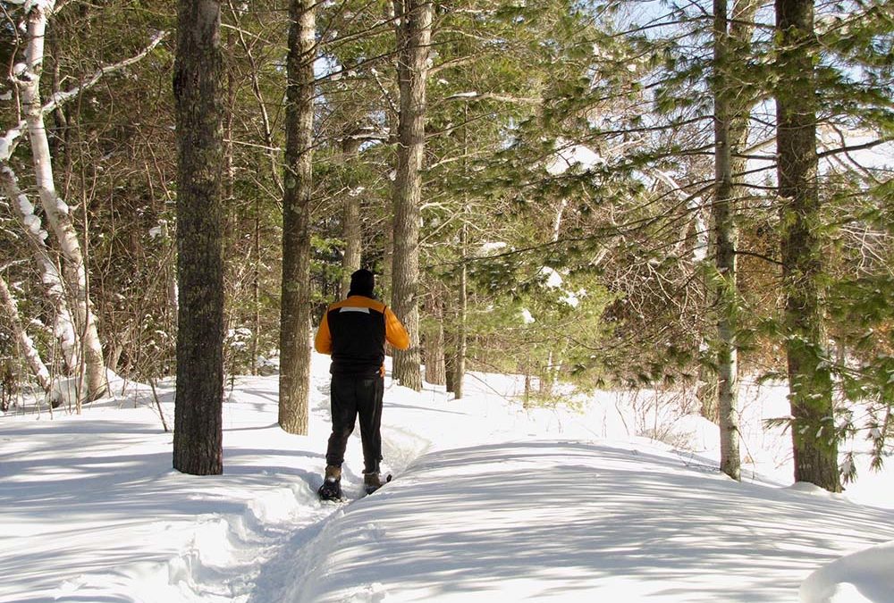 There’s Awesome Snowshoeing and Skiing at Pictured Rocks National Lakeshore