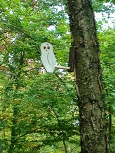 White wooden owl sticking out from tree on Ice Age Trail near Point Beach.