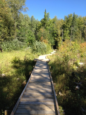 Boardwalk trail running through wetlands and woods on the Ice Age Trail near Ringle.