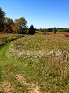 Wide path cut into prairie with woods in the distance on the Ice Age Trail near Merton.