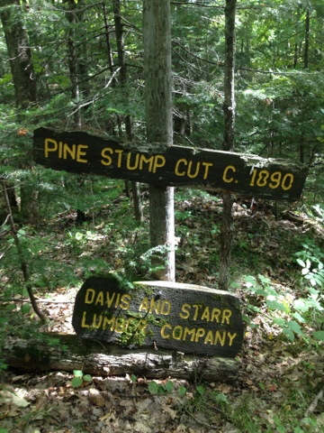 Sign on Ice Age Trail giving date when a pine stump was cut.