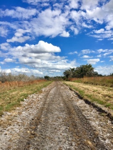 Sandy park utility road in Florida.