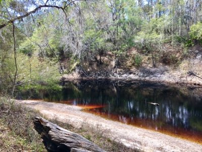 Suwannee River on Florida Trail near US 129.