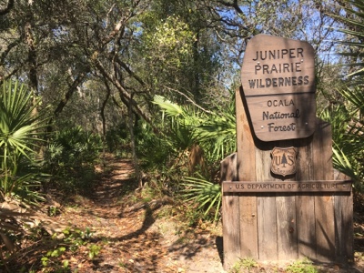 Wooden sign proclaiming Juniper Prairie Wilderness, Ocala National Forest, with an adjacent hiking path.