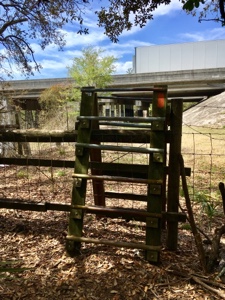 Wooden stile to get over fence near US 129 on the Florida Trail.