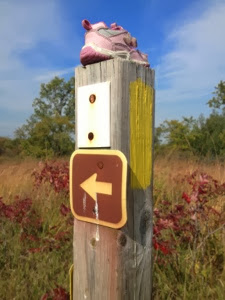 Pink shoe on top of Ice Age Trail signpost with yellow blaze near Eagle.