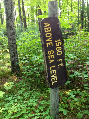 Sign on Ice Age Trail saying 1580 Ft Above Sea Level hanging on its side.