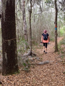 Female hiker trekking through pine woods near Palatka, Florida.