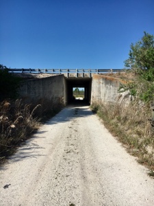 Wide gravel path leading through concrete viaduct near Prairie Lakes Station in Florida