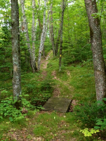 Hiking path through the woods on the Ice Age Trail near Southern Blue Hills.