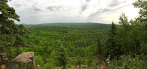 Overview of forest from atop a bluff near Cascade River State park.