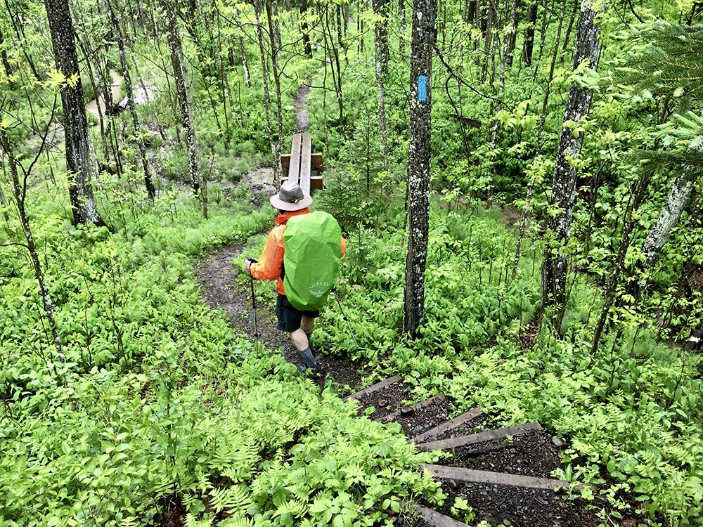 Backpacker heading to southern terminus of Superior Hiking Trail on dirt track in woods.