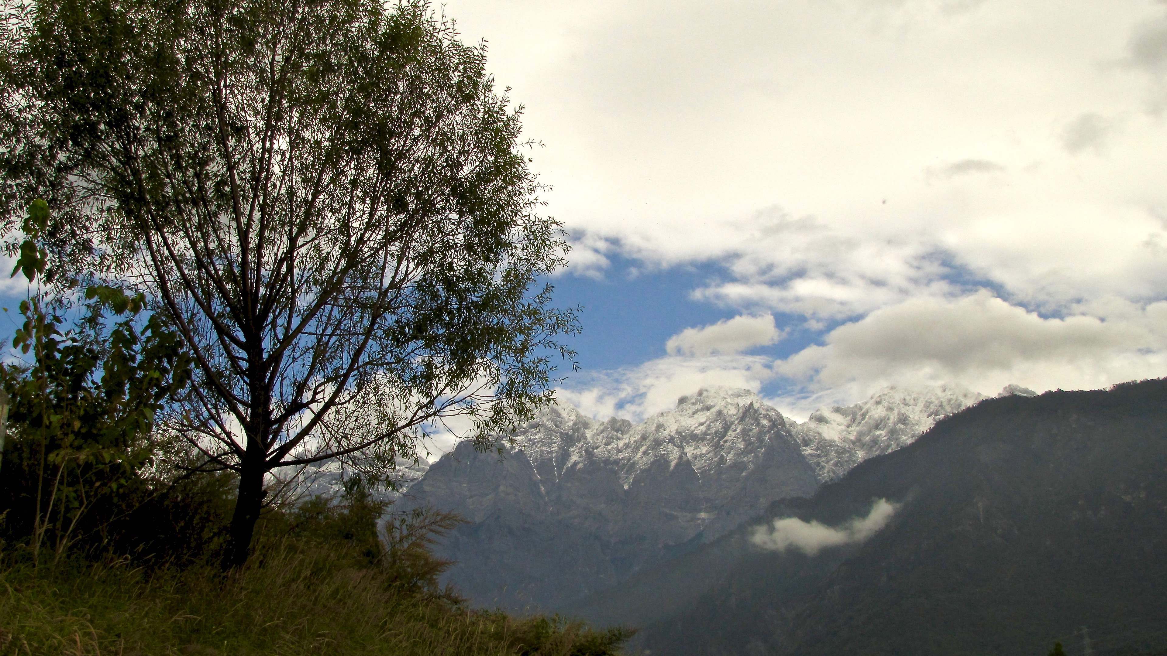 Tiger Leaping Gorge 13