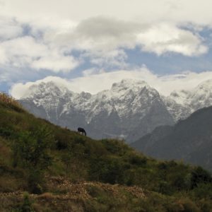 Tiger Leaping Gorge 14