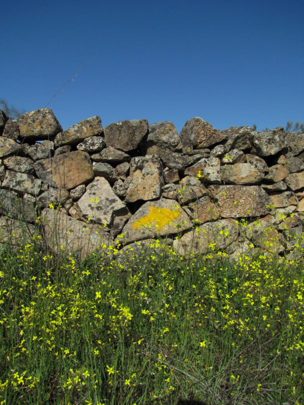 Yellow arrow on stone fence along Spain's Camino.
