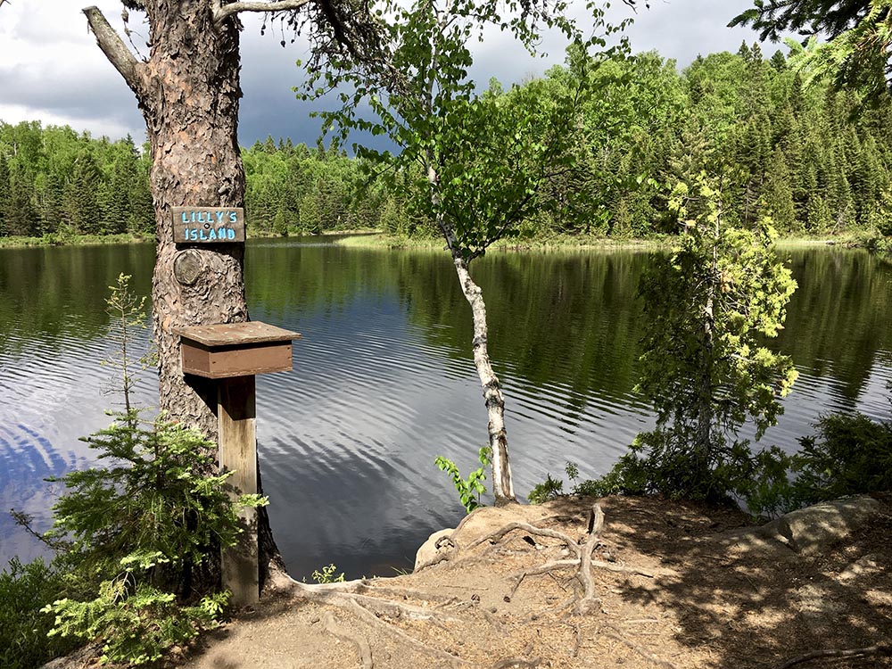 View on Lilly Island of the surrounding lake and a tree with a box containing a hiker log.