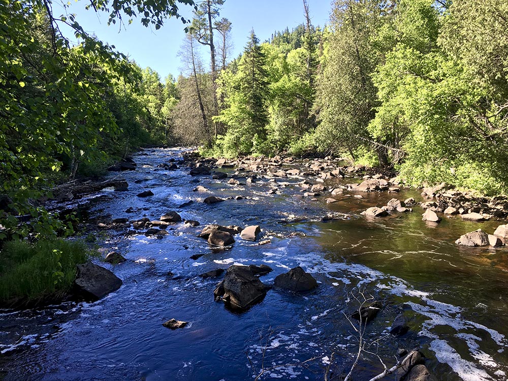 A river with pine trees on the side, part of the Superior Hiking Trail.