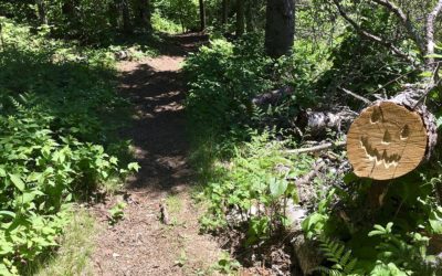 Superior Hiking Trail Series – Part 5: Nature Effect