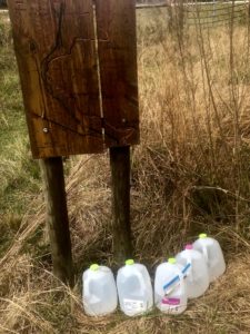 Five gallon jugs of water left on the Florida Trail by trail angels.