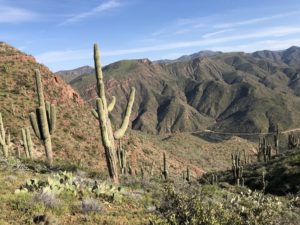 Arizona Trail winding through mountains and saguaro cactus just north of Roosevelt Lake.