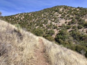Arizona Trail winding through Canelo Hills.