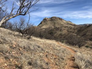 Arizona Trail winding through Canelo Hills.