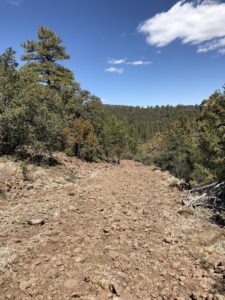 A very rocky Arizona Trail winding atop a mountain with pines in the distance.