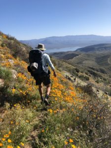 Backpacker hiking through golden wildflowers on a mountain on the Arizona Trail with Lake Roosevelt in the distance.