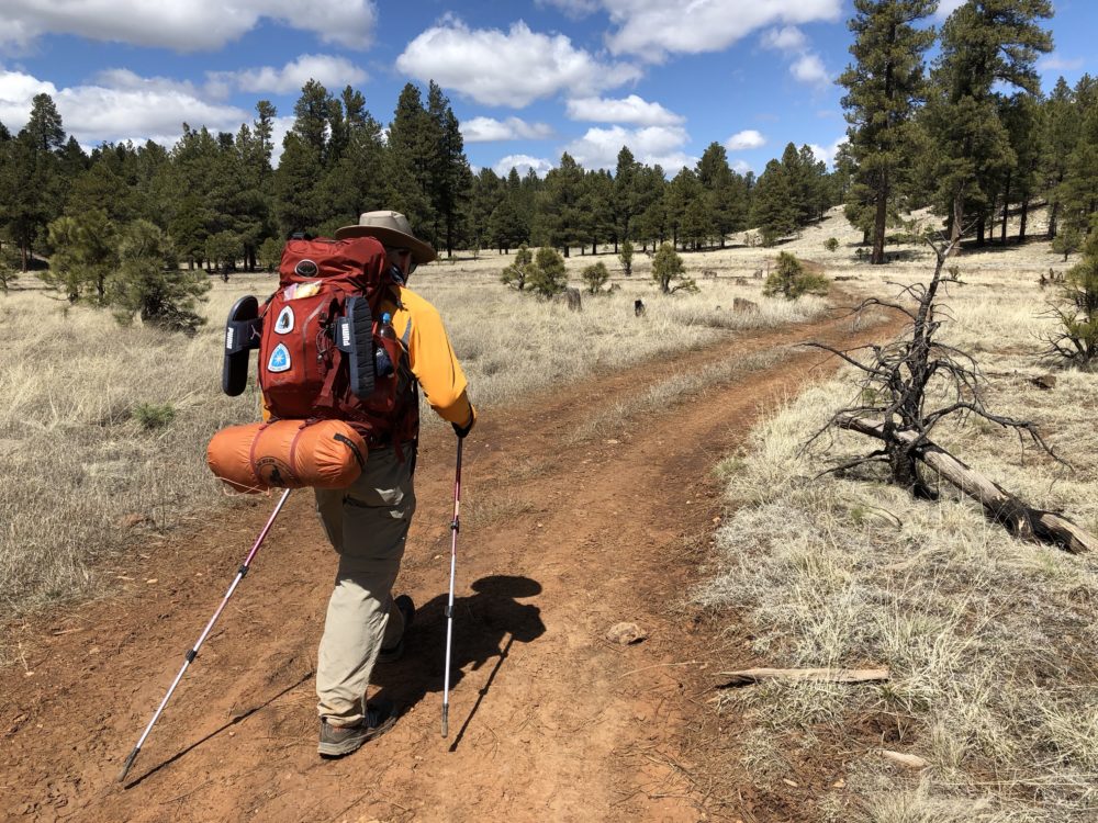 Backpacker on Arizona Trail, where hiking is becoming so popular.