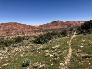 Arizona Trail winding north near the Utah border with reddish mountains in the distance.
