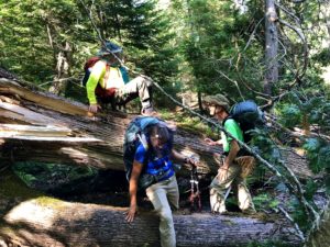 Three hikers helping each other over huge, downed trees on the North Country Trail.