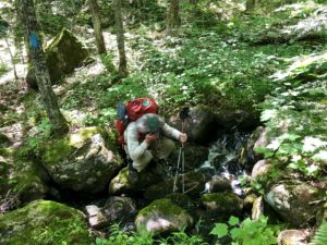 Backpacker drinking water from a stream in the woods.