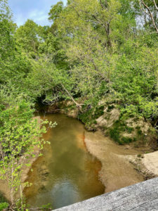 View of creek crossing on Natchez Trace near Port Gibson.