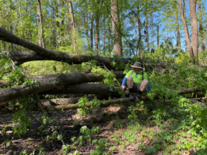 Male hiker climbing over downed trees in Yockanookany section of Natchez Trace.